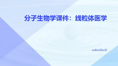 分子生物学课件：线粒体医学