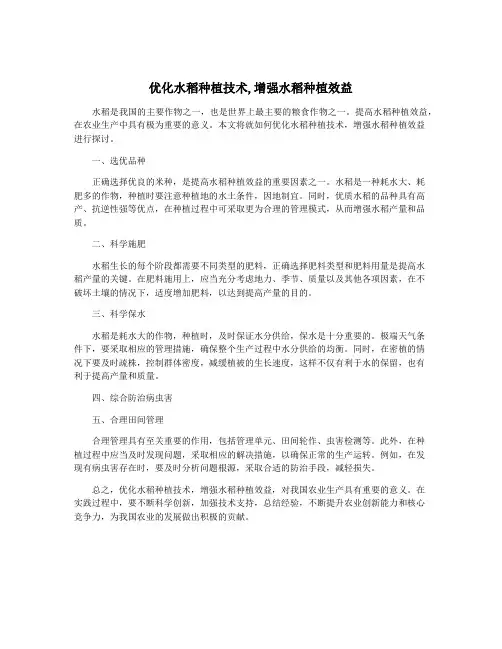 优化水稻种植技术,增强水稻种植效益