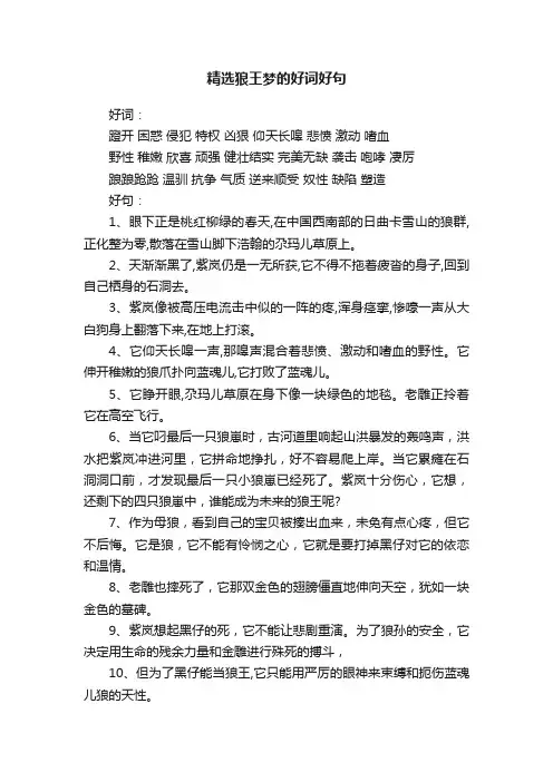 精选狼王梦的好词好句