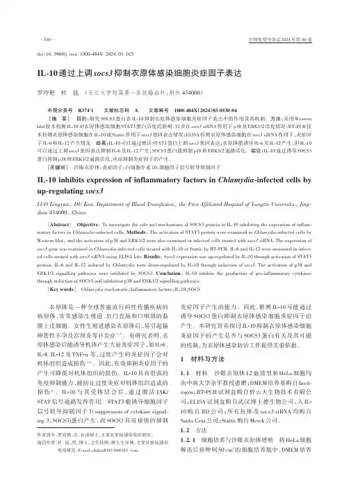 IL-10通过上调socs3抑制衣原体感染细胞炎症因子表达