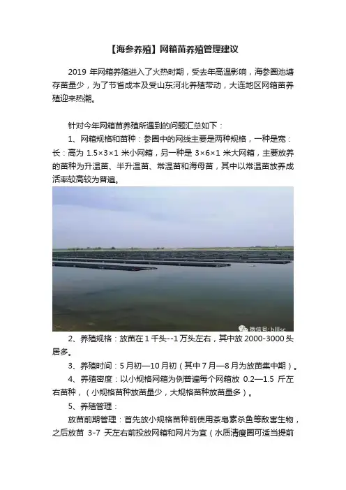 【海参养殖】网箱苗养殖管理建议