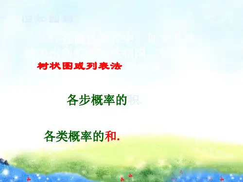 数学：4.3游戏公平吗(公开课)课件(北师大版九年级下) 公开课课件