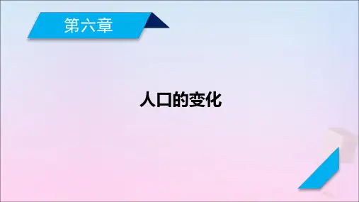 2021高考地理一轮复习第6章人口的变化第2讲人口的空间变化课件新人教版