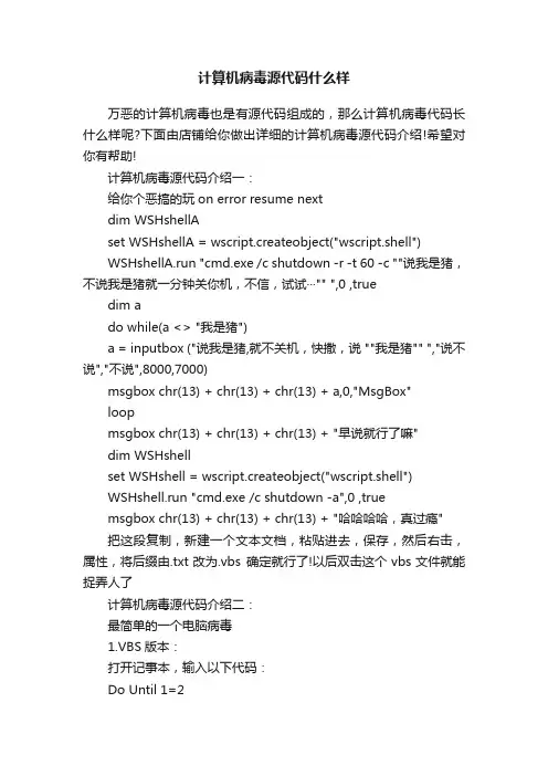 计算机病毒源代码什么样