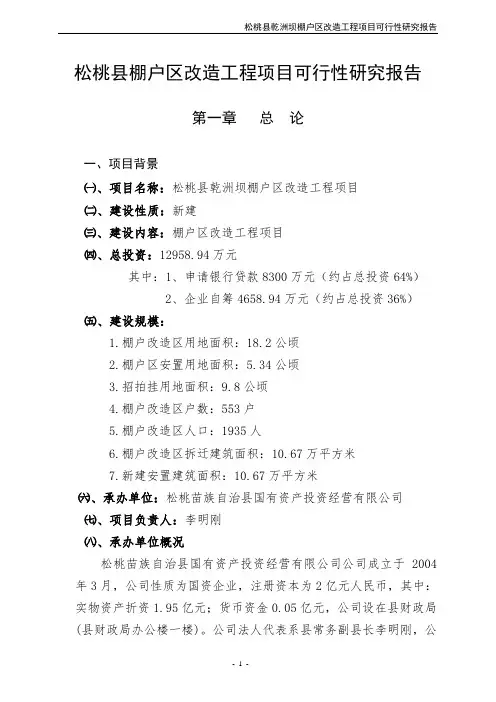 某某县棚户区改造项目立项申请报告
