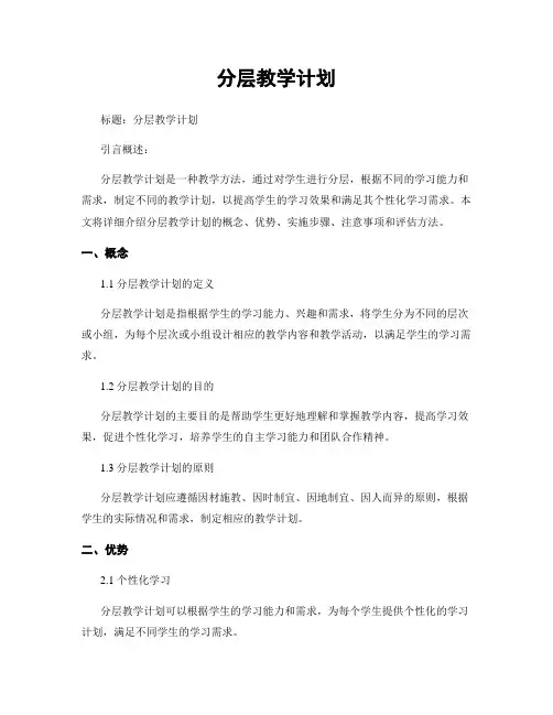 分层教学计划