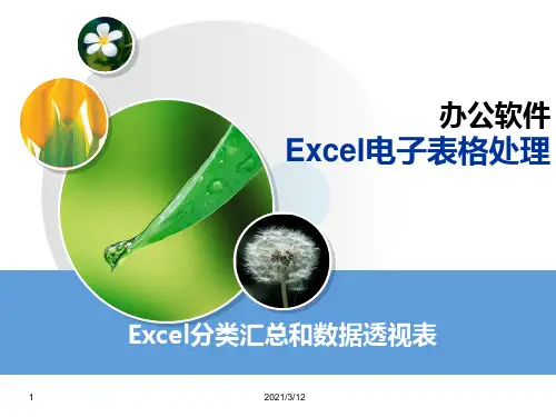 Excel(7)-分类汇总PPT课件