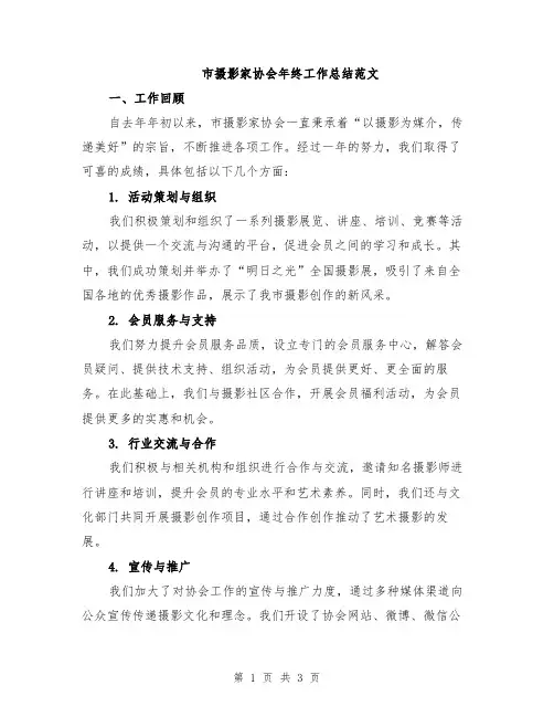 市摄影家协会年终工作总结范文