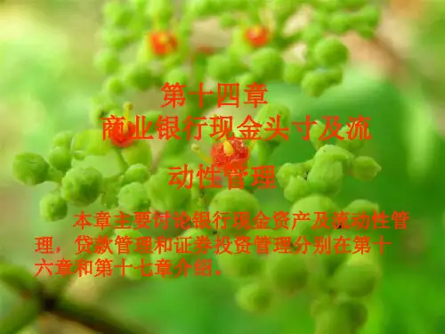 商业银行现金头寸及流动性管理概述(ppt 30张)