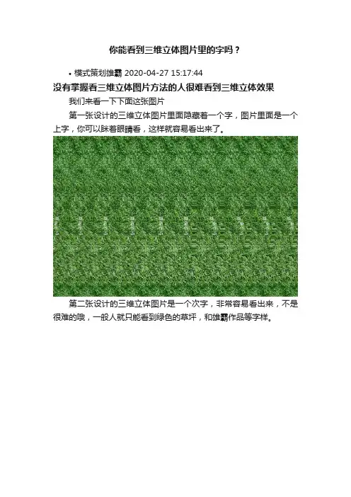 你能看到三维立体图片里的字吗？