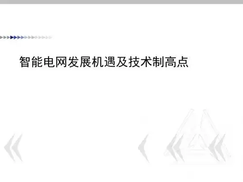 智能电网发展机遇及技术制高点讲义(PPT 78张)