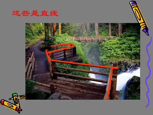 介绍直线曲线和折线课件PPT