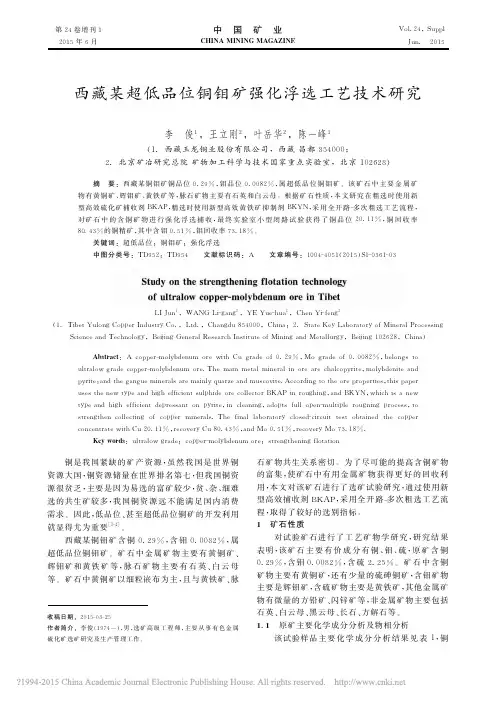 西藏某超低品位铜钼矿强化浮选工艺技术研究_李俊
