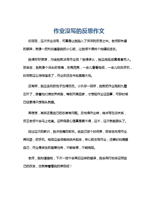 作业没写的反思作文