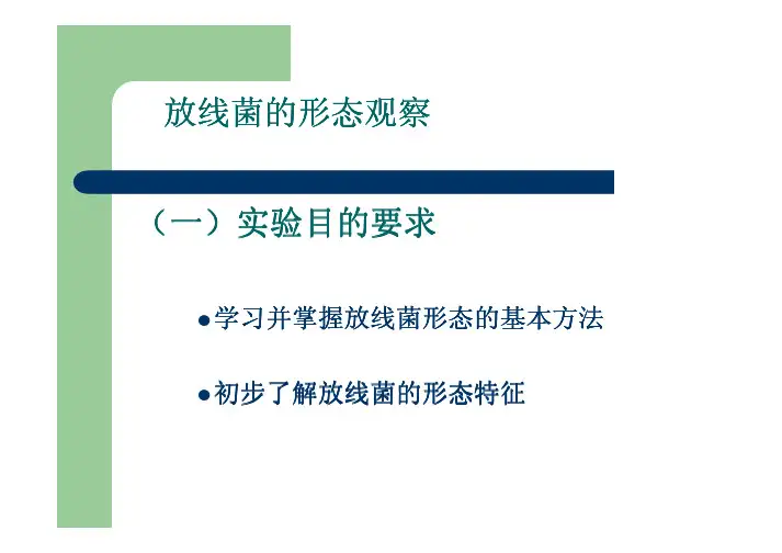 放线菌的形态观察