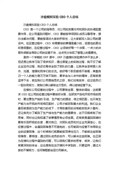 沙盘模拟实验CEO个人总结