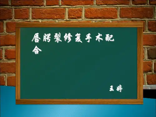 唇腭裂手术配合 ppt课件