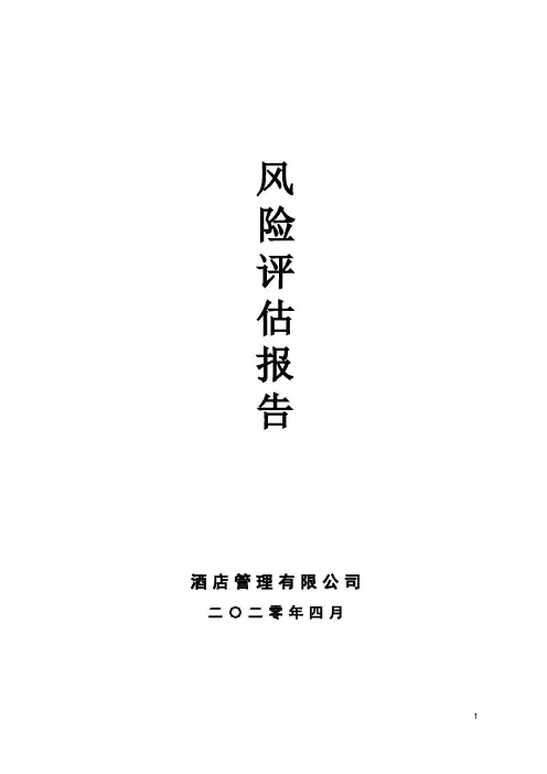 公司风险评估报告