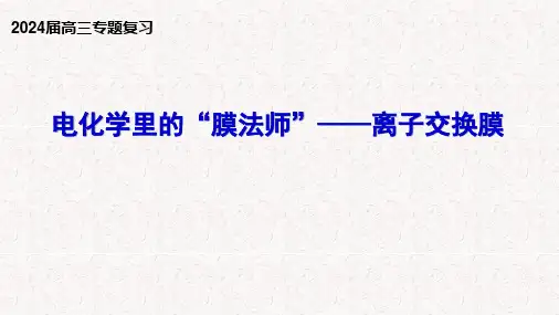 高三化学一轮复习电化学里的“魔法师”离子交换膜课件
