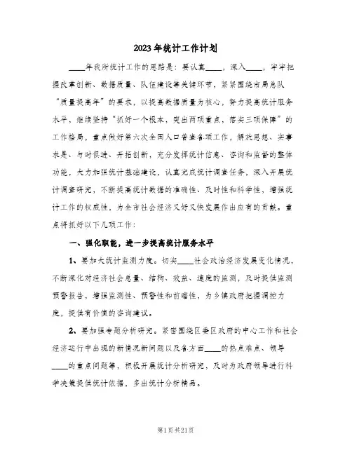 2023年统计工作计划(2篇)