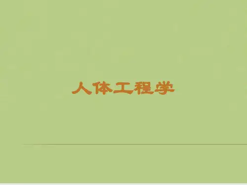 人体工程学第二章人体工程学基础