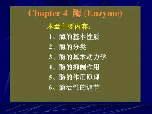 4 酶 (Enzyme)