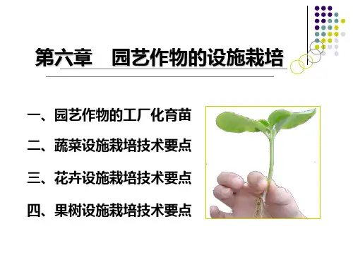 设施园艺：第六章 园艺作物的设施栽培