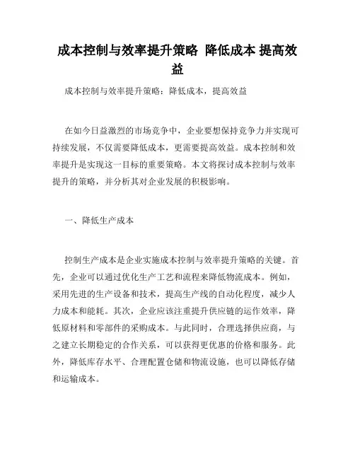 成本控制与效率提升策略  降低成本 提高效益