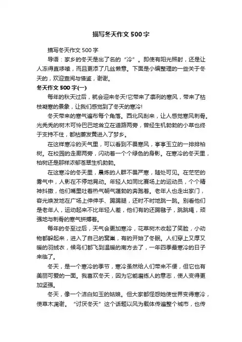 描写冬天作文500字