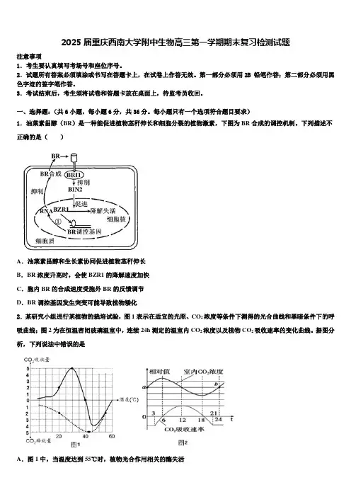 2025届重庆西南大学附中生物高三第一学期期末复习检测试题含解析