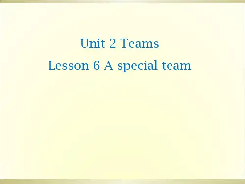 北师大版八年级上册Unit 2 Teams Lesson 6(共28张PPT)