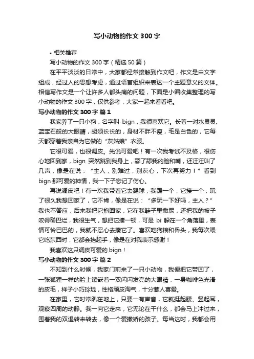 写小动物的作文300字