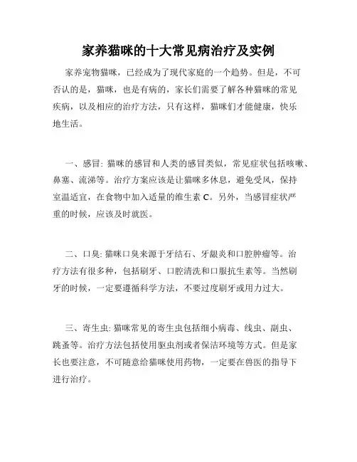 家养猫咪的十大常见病治疗及实例 