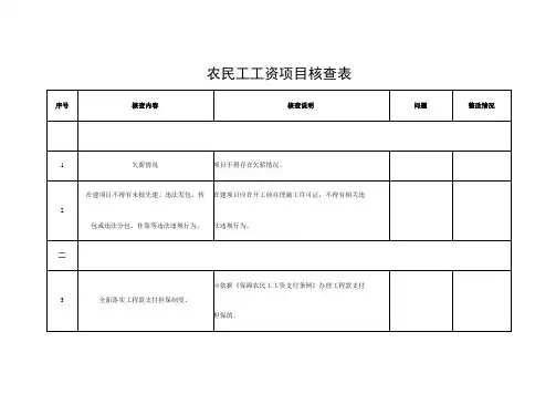 农民工工资项目核查表