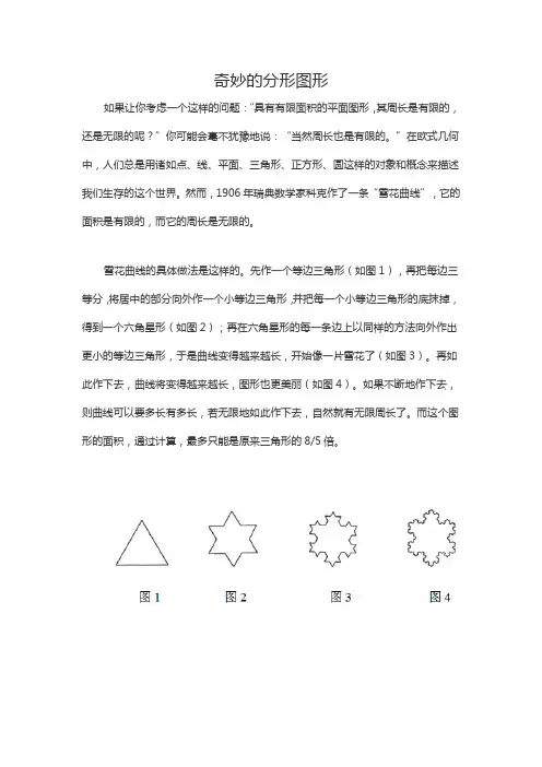 奇妙的分形图形