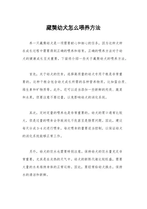 藏獒幼犬怎么喂养方法