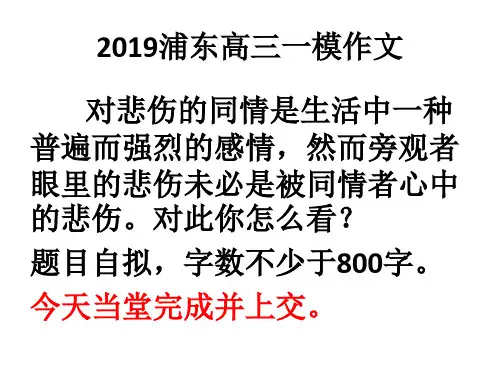 浦东一模作文：同情与悲伤
