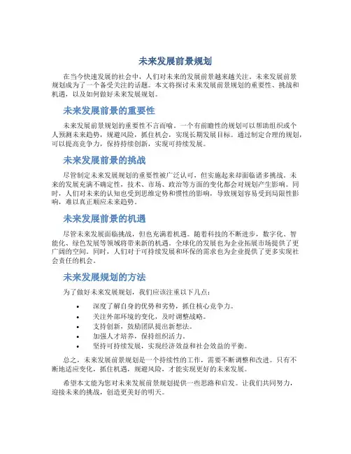 未来发展前景规划