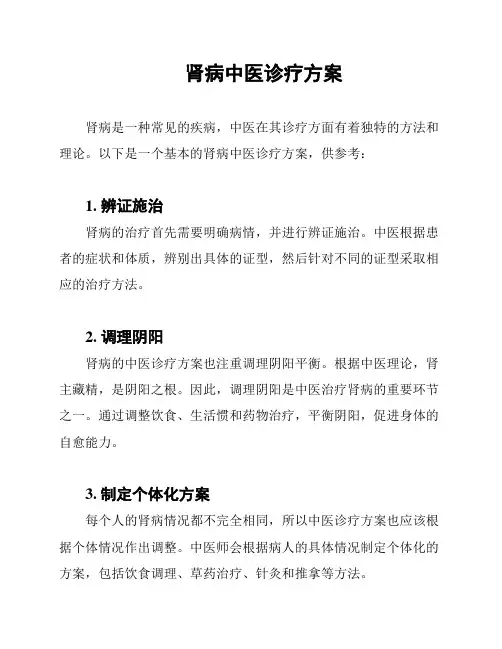 肾病中医诊疗方案