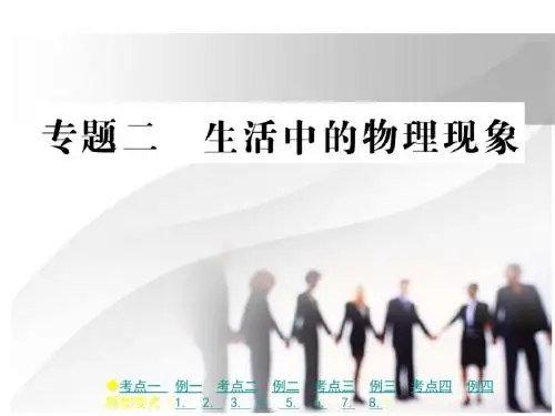 2019年中考物理专题复习：重点题型突破 专题二 生活中的物理现象(共18张PPT)