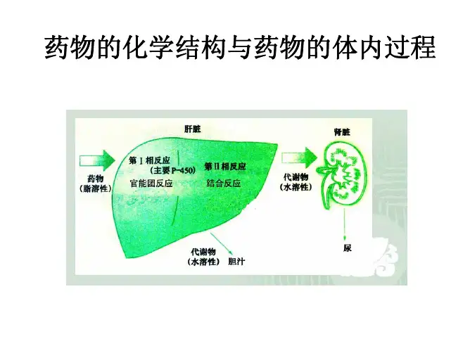 药物设计学 基于结构的药物设计一