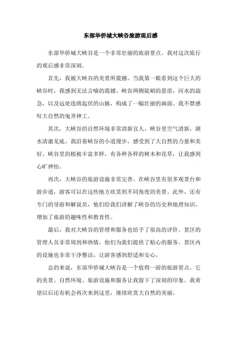 东部华侨城大峡谷旅游观后感