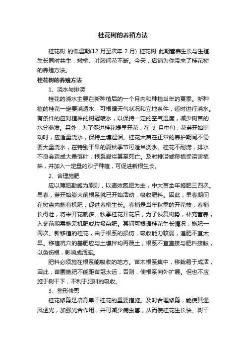 桂花树的养殖方法