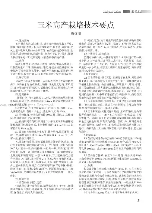 玉米高产栽培技术要点