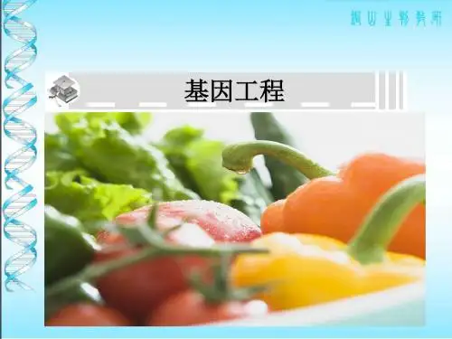 基因工程的工具课件(1)