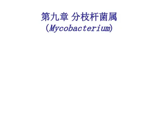 结核分枝杆菌与麻风分枝杆菌
