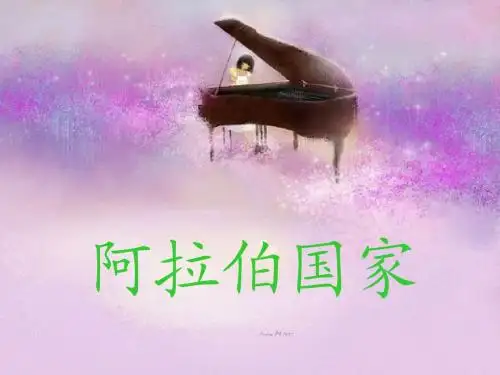 阿拉伯国家