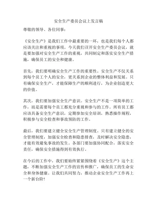 安全生产委员会议上发言稿