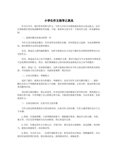 小学生作文指导之我见