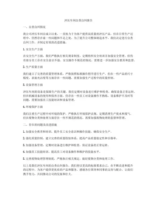 冲压车间自查自纠报告